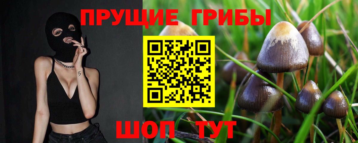 Галлюциногенные грибы Psilocybine cubensis  Вход с VPN  Кашира 