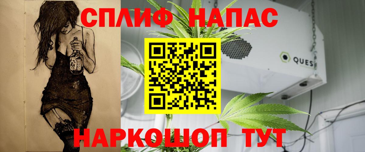 Каннабис семена Кашира